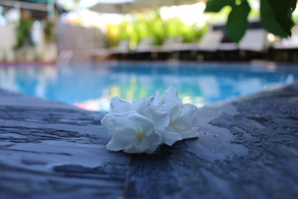 Phuc Thao Villa Hoi An Luaran gambar